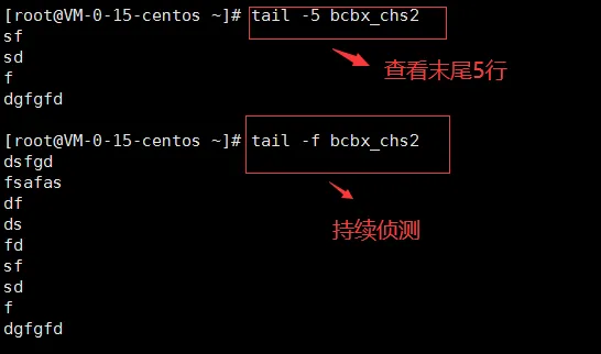 学会Linux，看完这篇就行了！