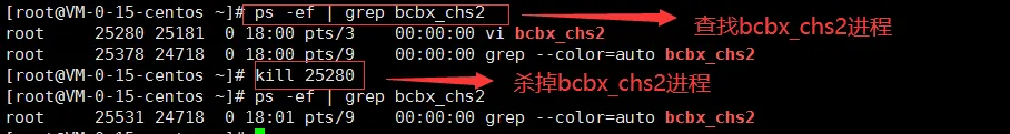 学会Linux，看完这篇就行了！